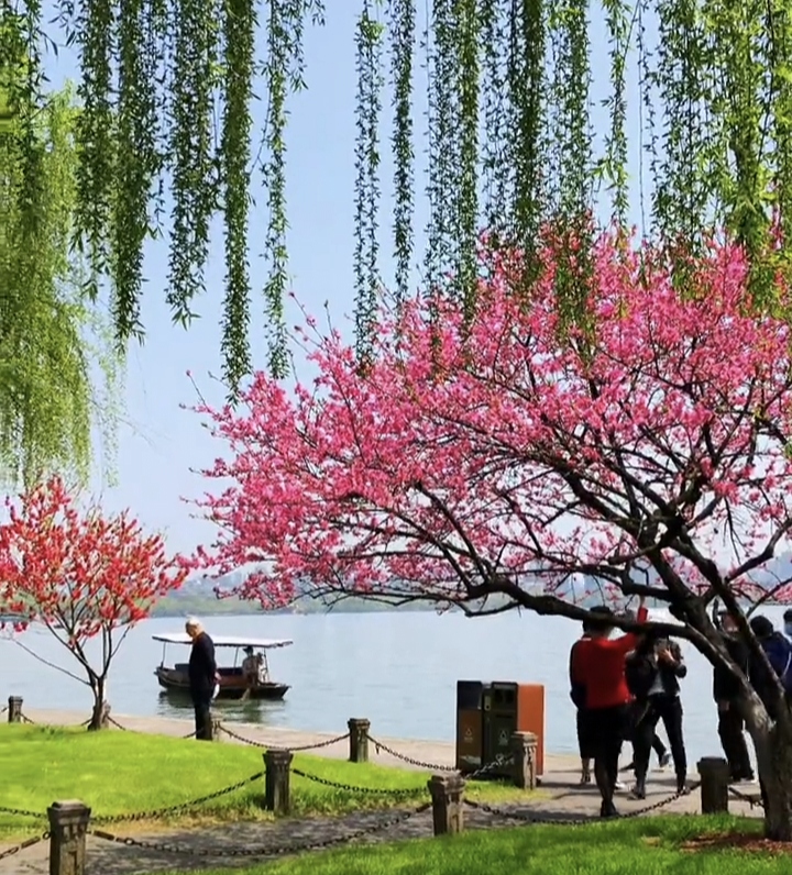 碑林路人《三月》主播:李延廷编辑:开心快乐【运河之春】(第052期)（图3）