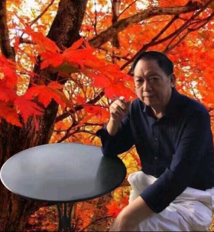 中华诗艺黑龙江分社推介/枫林醉:枫林对韵（图4）