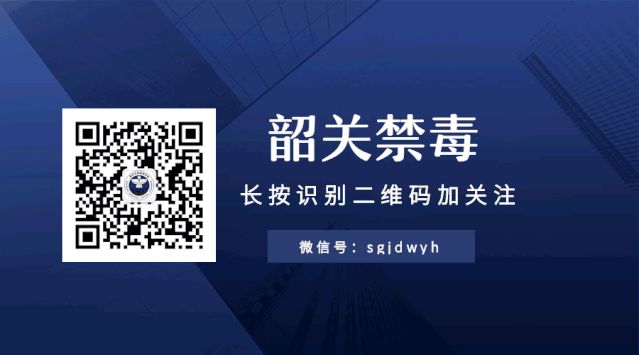 禁毒“筝”有你，放飞无毒梦（图6）