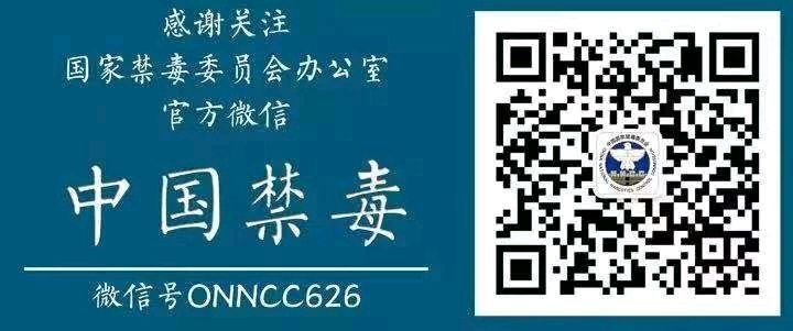 禁毒“筝”有你，放飞无毒梦（图10）