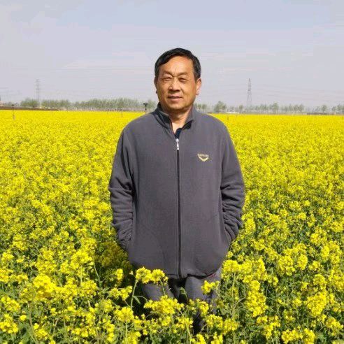 王新华（河北）诗词小辑【冰心文化传媒】主编冰心（图6）