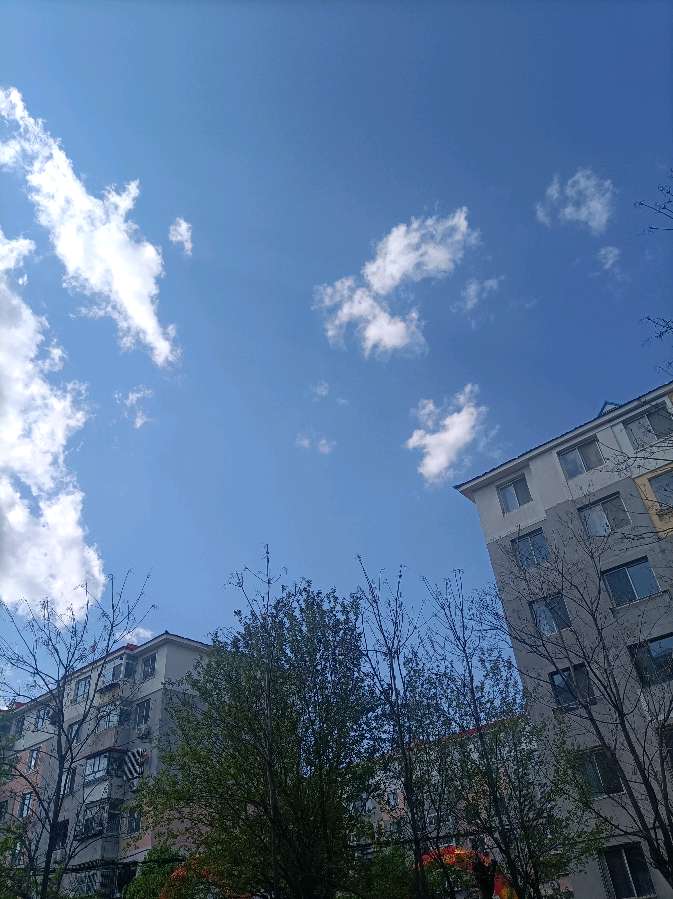 午后（图2）