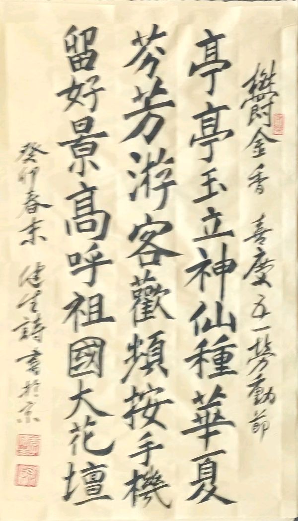 郁金香（图3）