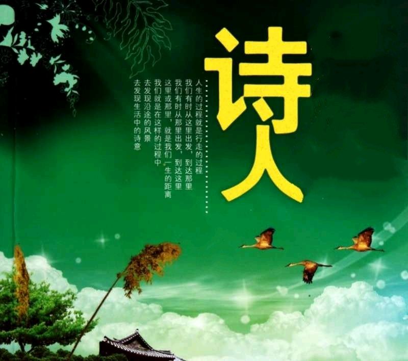 《我的某一天》作者:含笑【主播:青苗】【桃源国际诗歌文化传媒集团】用声音传递温暖以诵读致敬人生♬（图8）