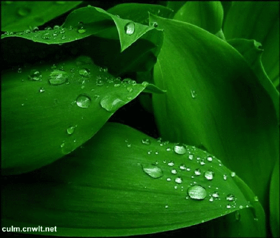 【五一专刊】《五一颂》作者/春韵 诵读/冬日艳阳 编辑/青青【花雨馨声有声文学平台】第322期（图3）
