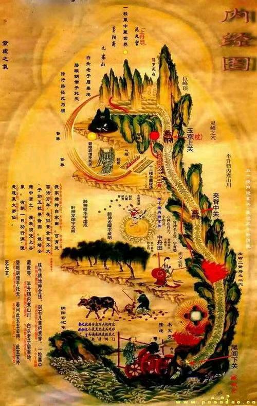*悬壶三题* 诗人 周塬〔山东〕【冰心文化传媒】主编 冰心（图4）