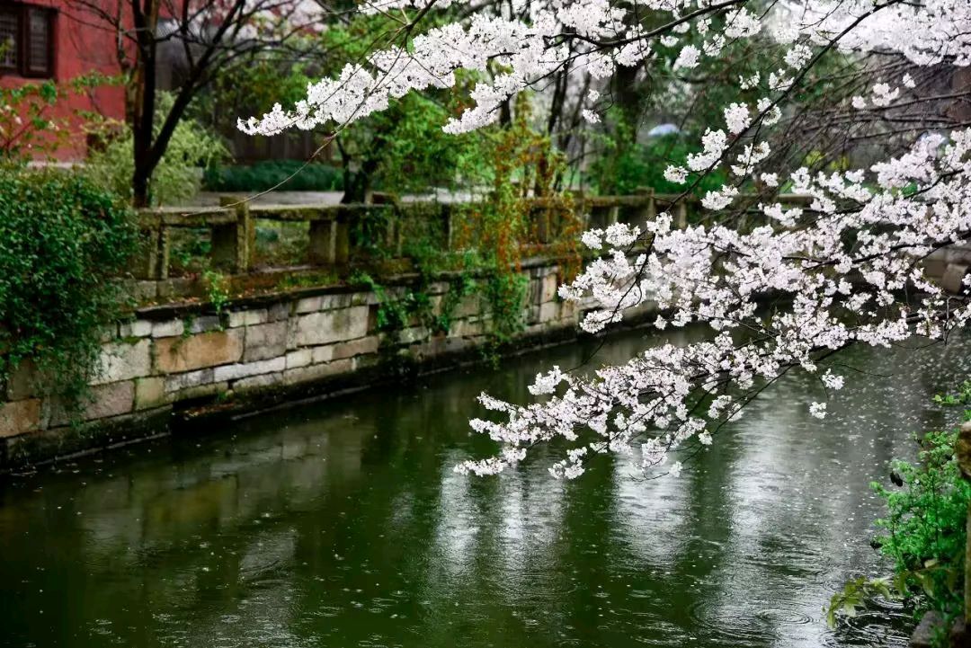 原创合集《墨海文香》内蒙古赤峰市《都市头条》原创音频（弘扬国学）（图59）