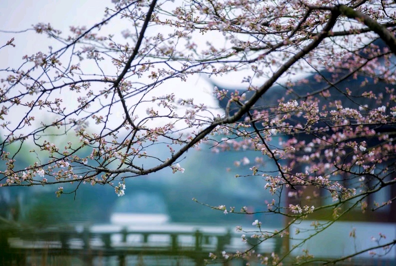 原创合集《墨海文香》内蒙古赤峰市《都市头条》原创音频（弘扬国学）（图46）