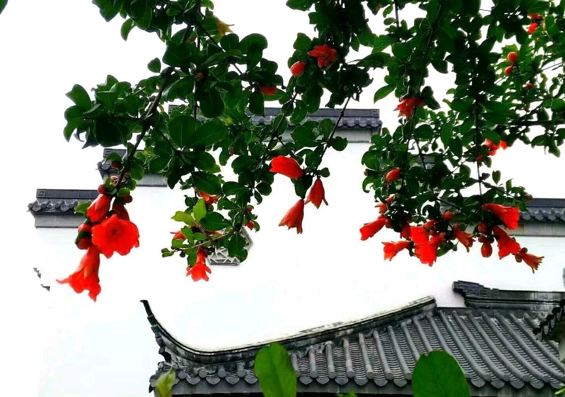 原创合集《墨海文香》内蒙古赤峰市《都市头条》原创音频（弘扬国学）（图37）