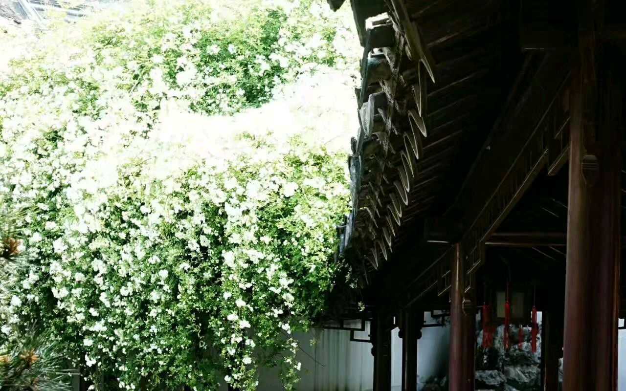 原创合集《墨海文香》内蒙古赤峰市《都市头条》原创音频（弘扬国学）（图33）