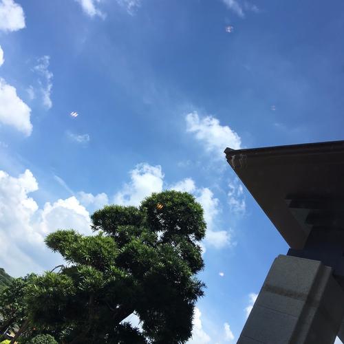 《窗前的白云》作者:雨念【主播:丹桂】【桃源国际诗歌集团】用声音传递温暖以诵读致敬人生♬。（图6）