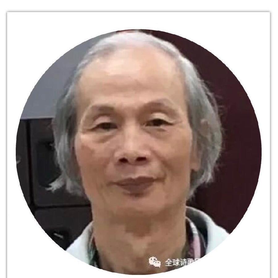 东渡诗社:庆祝三周年诗歌配乐朗诵专辑|海外头条(图43)