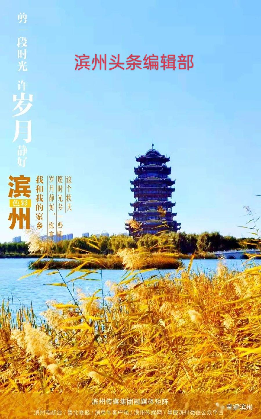 向劳动者致敬 文/不忘初心(图4)