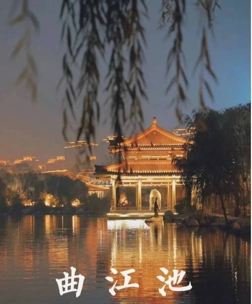 【“五一“专题】王世华//“五一”游曲江池（图2）