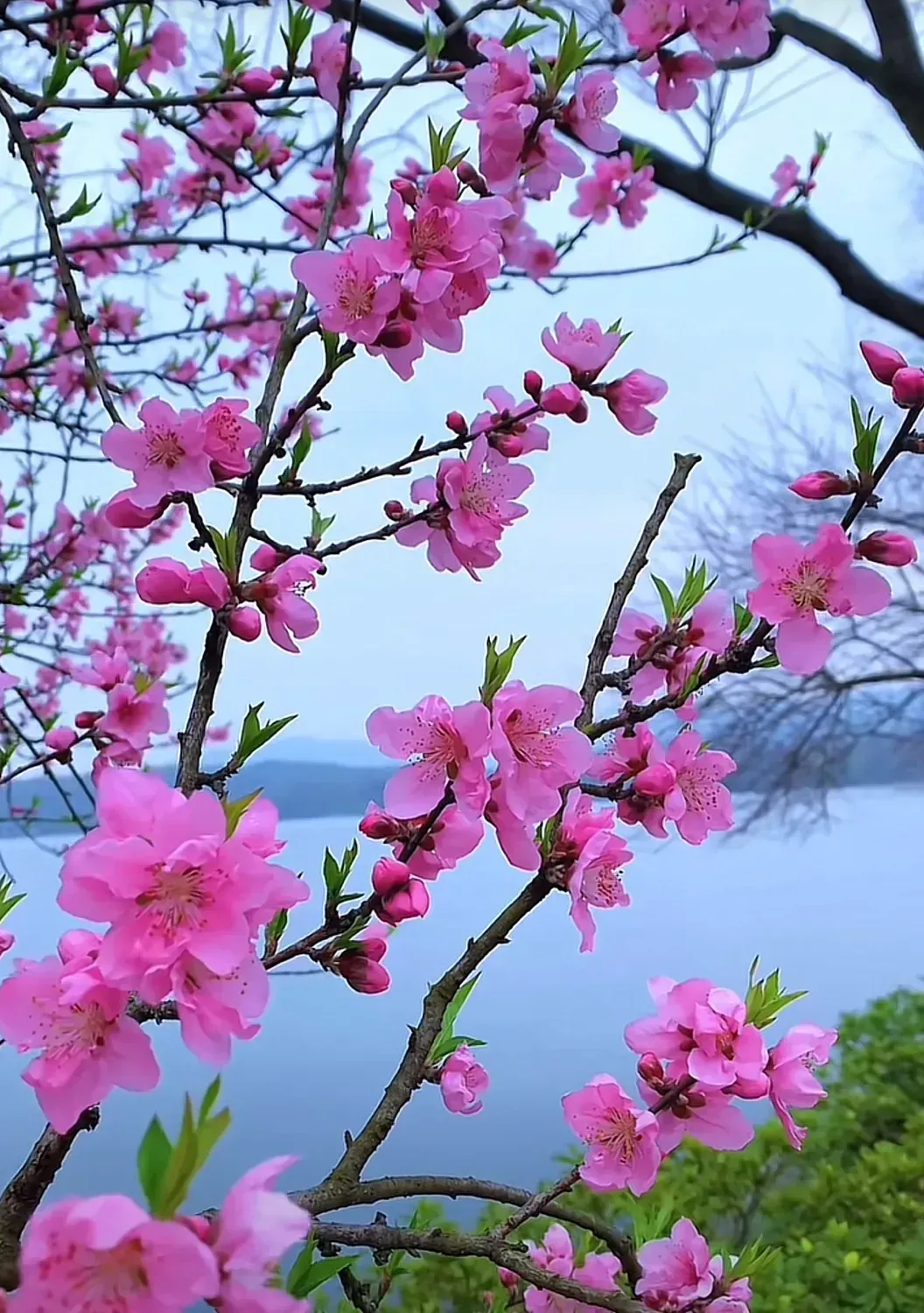 王建华 诗歌专辑(十首)(图3)