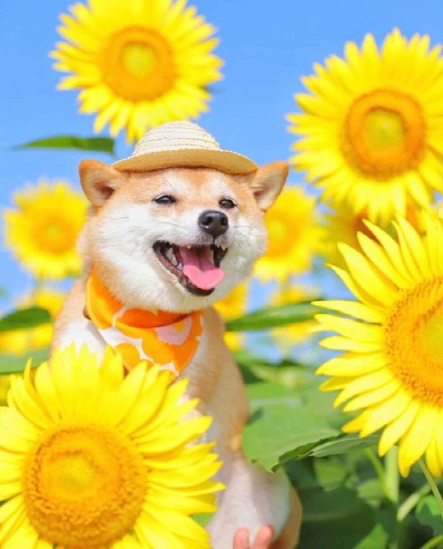 孟国泰说智慧人生（10）：致敬青年节（图11）