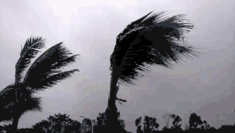 【美文美诵】《风雨》作者/肖朝光 诵读/如兰编辑/青青【花雨馨声有声文学平台】第325期（图3）