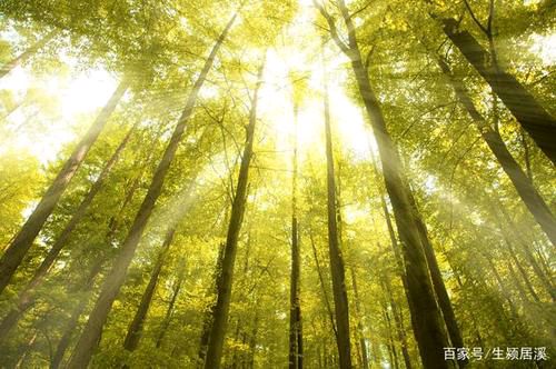 《五月的阳光》作者:碑林路人‖合诵:心飞扬12位金牌主播【采菊文苑美文美诵】总7105期（图2）