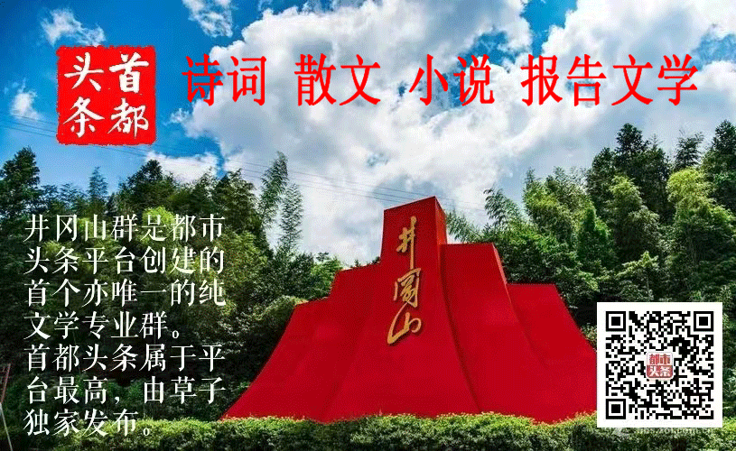 都市头条井冈山群首届“十佳明星作者”揭晓（图54）