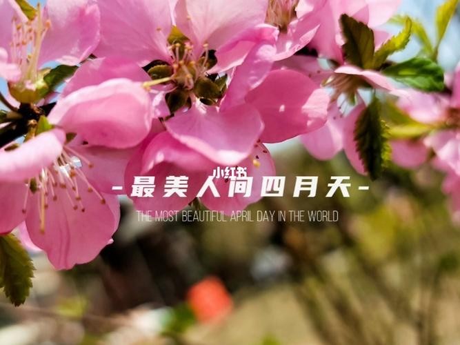 【经典推荐】“农民诗人”曹南强//“五一“系列作品展（图7）