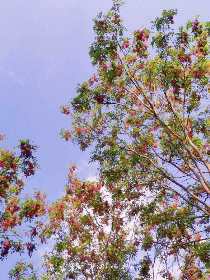立夏（外一首）李炫征（图4）