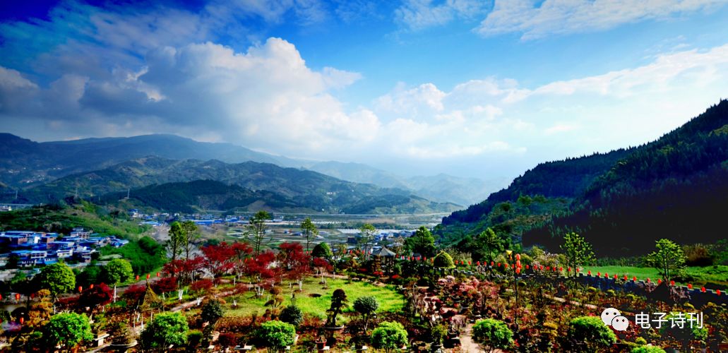 花开四季的地方（外一章）（图2）