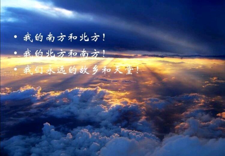 首都少儿朗诵艺术团‖【我的南方和北方】合诵/首都少儿朗诵艺术团朗诵 指导老师/佳音（图12）