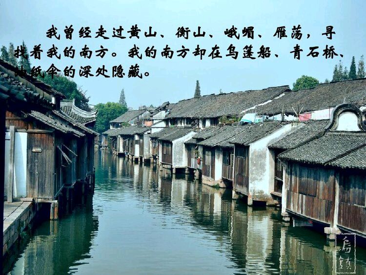 首都少儿朗诵艺术团‖【我的南方和北方】合诵/首都少儿朗诵艺术团朗诵 指导老师/佳音（图8）