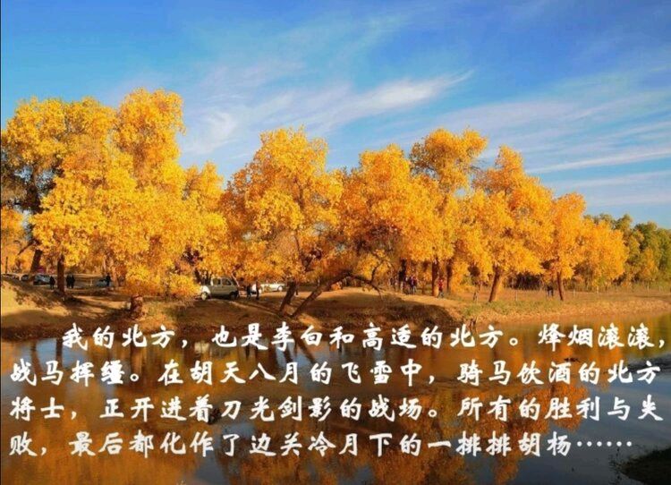首都少儿朗诵艺术团‖【我的南方和北方】合诵/首都少儿朗诵艺术团朗诵 指导老师/佳音（图7）