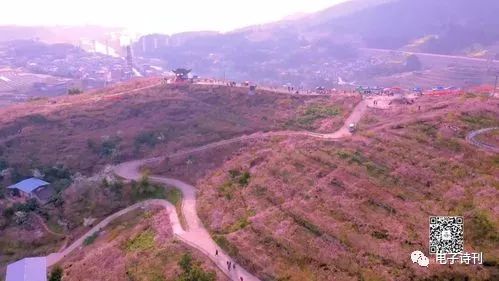 花开四季的地方（外一章）（图5）