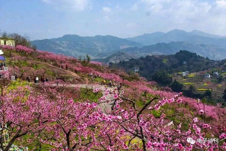 花开四季的地方（外一章）（图6）