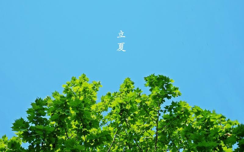 【经典推荐】曾培方//江城子•长子学宫｛外二首｝（图3）