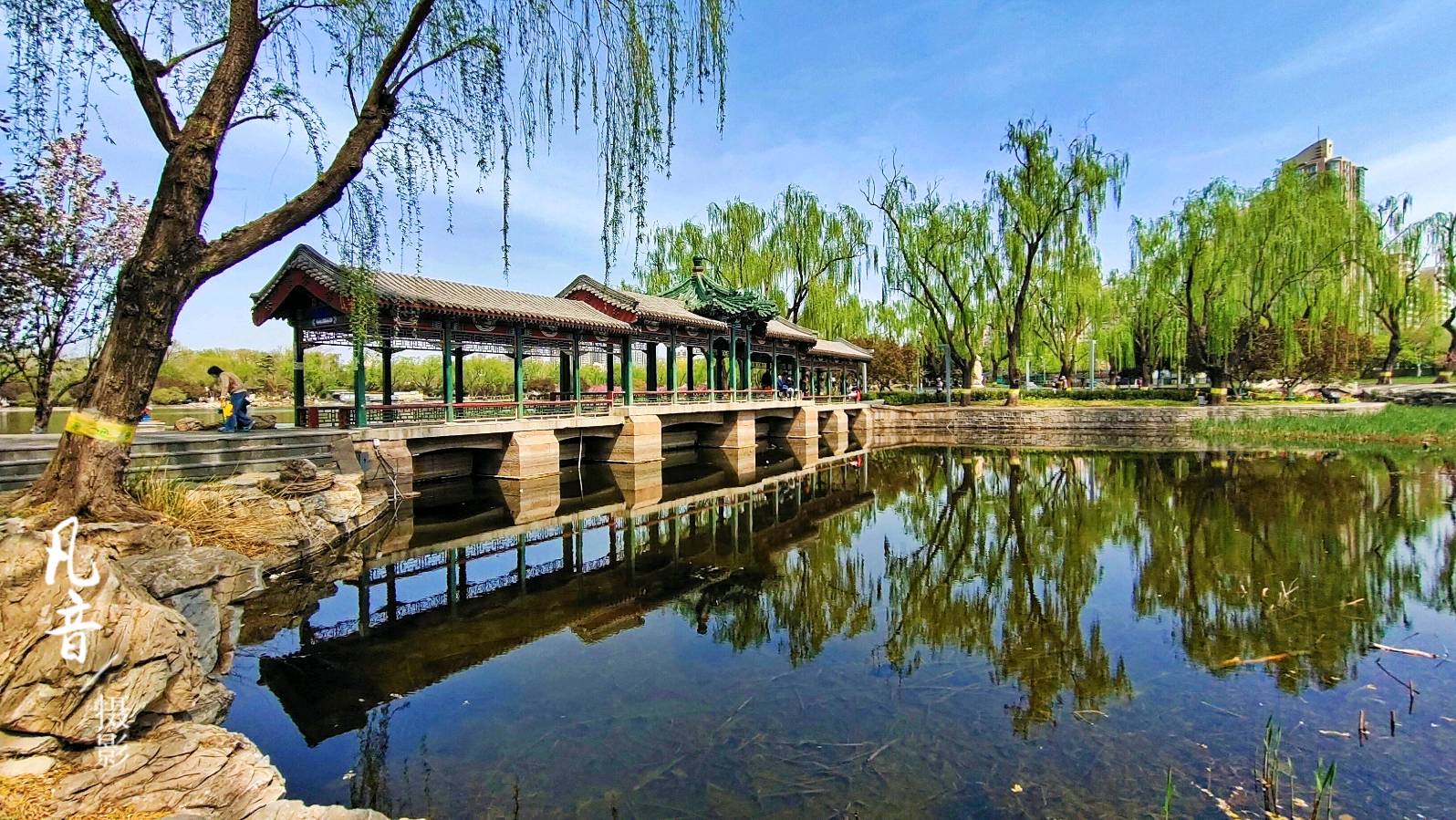 王家明晚晴朗诵《我的北方和南方》作者：天犁（图4）