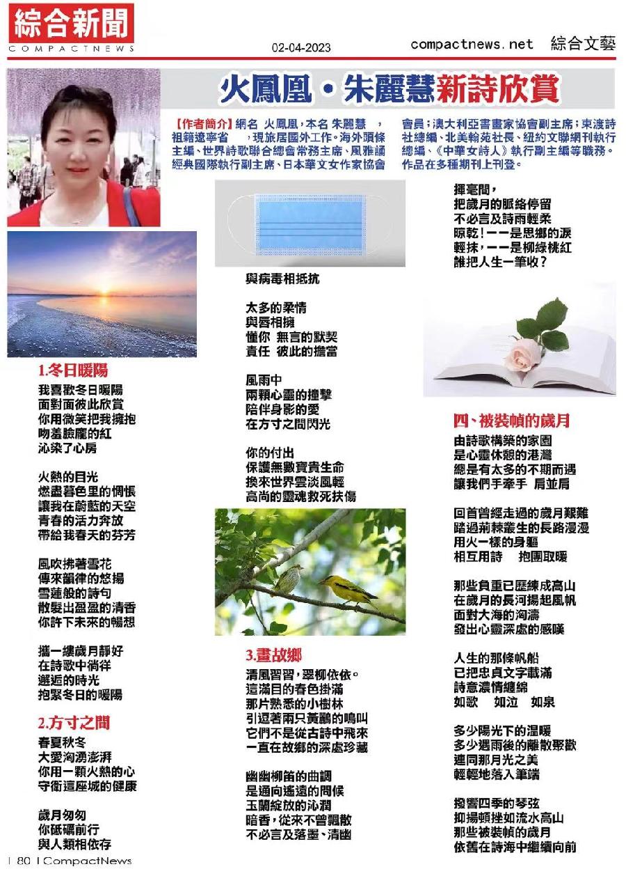红色的寒兰老师倾情演绎火凤凰的四首视频作品｜冬日暖阳&方寸之间&画故乡& 被装帧的岁月｜海外头条（图4）