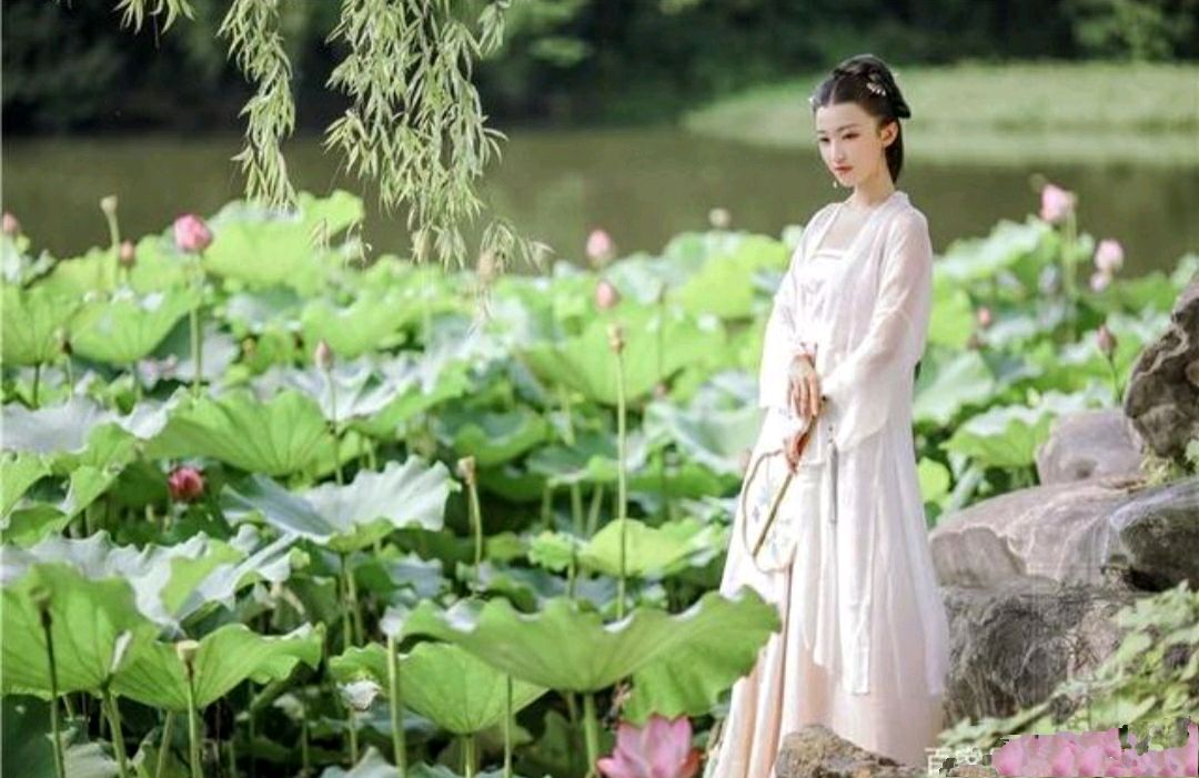 【华夏周刊】第140期合辑（图2）