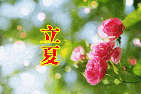 立 夏 作者:陈锦锋（湖北黄梅）【冰心文化传媒】主编 冰心（图3）
