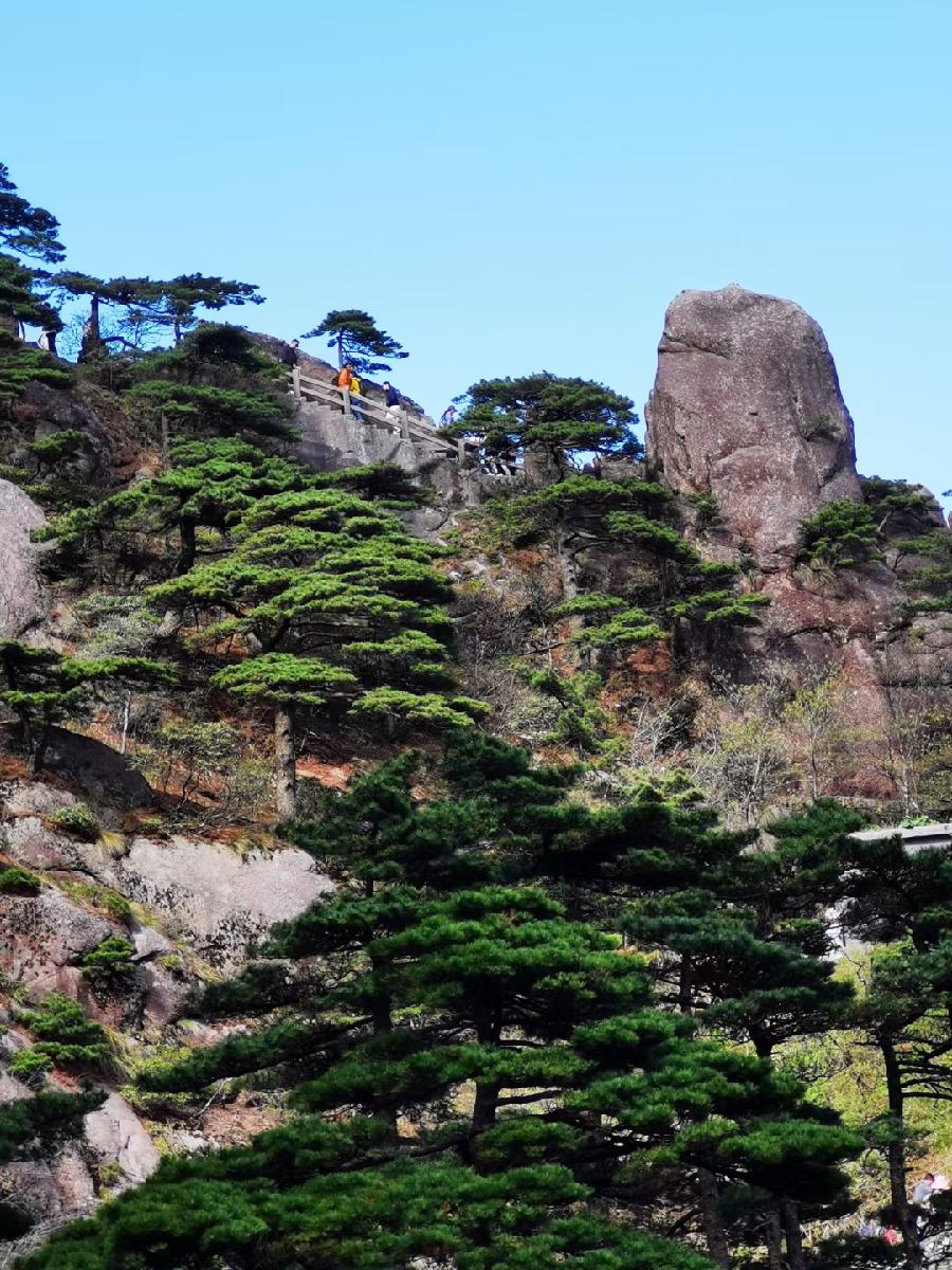 游黄山西海大峡谷 文/梅山洞人（湖南）（图2）