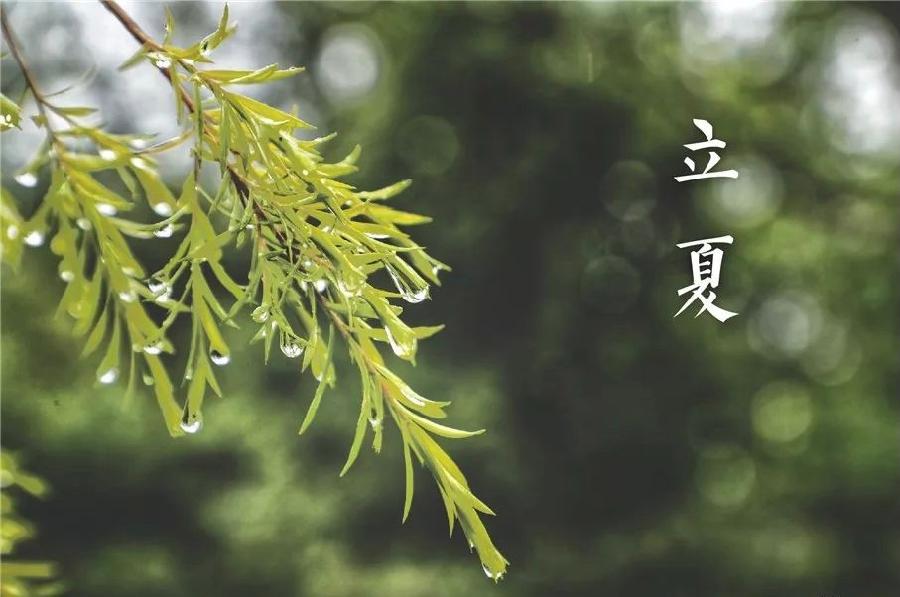 【新诗大观】立夏雨（外一首）||文/李想平（甘肃）