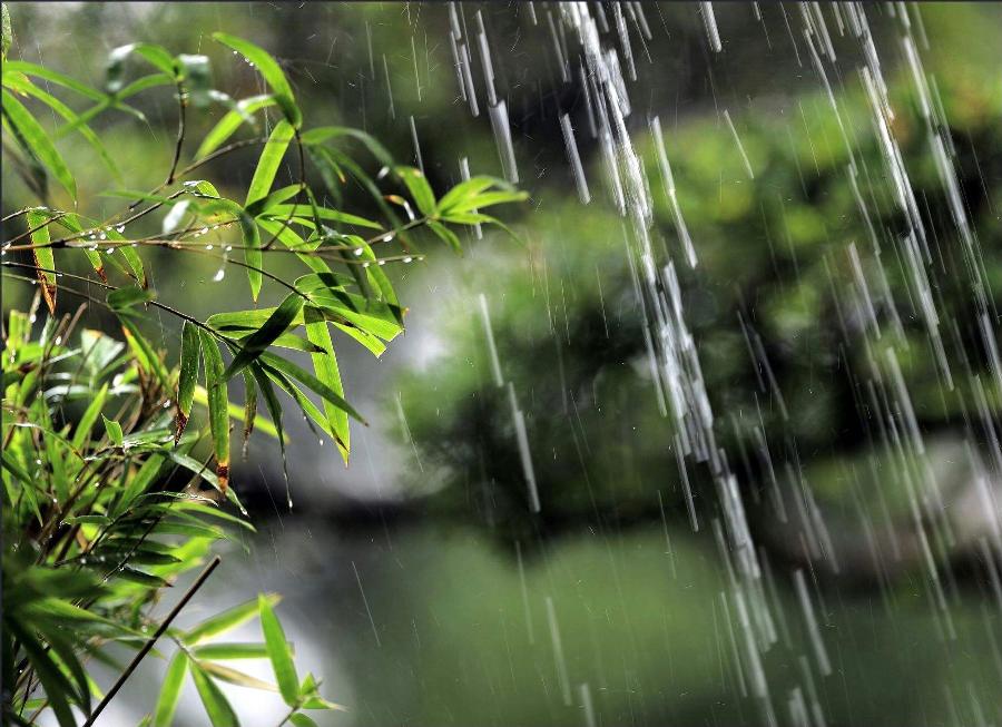 【新诗大观】荷花救我（诗六首）||文/孟祥忠（图4）