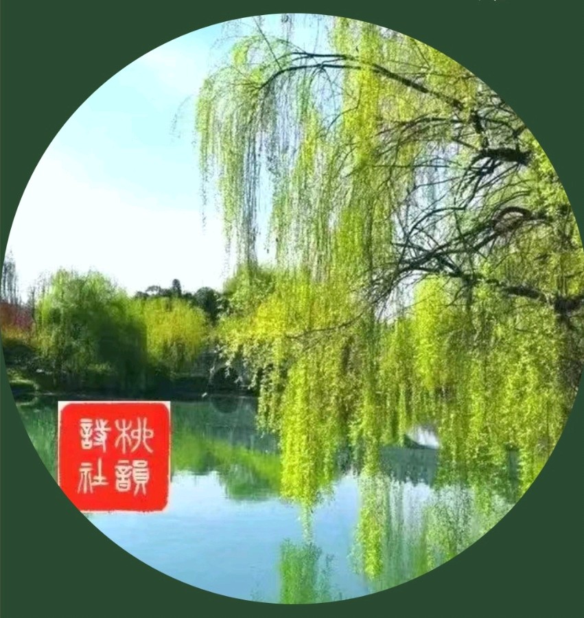 柳韵诗社唐诗步韵【140—1】期
