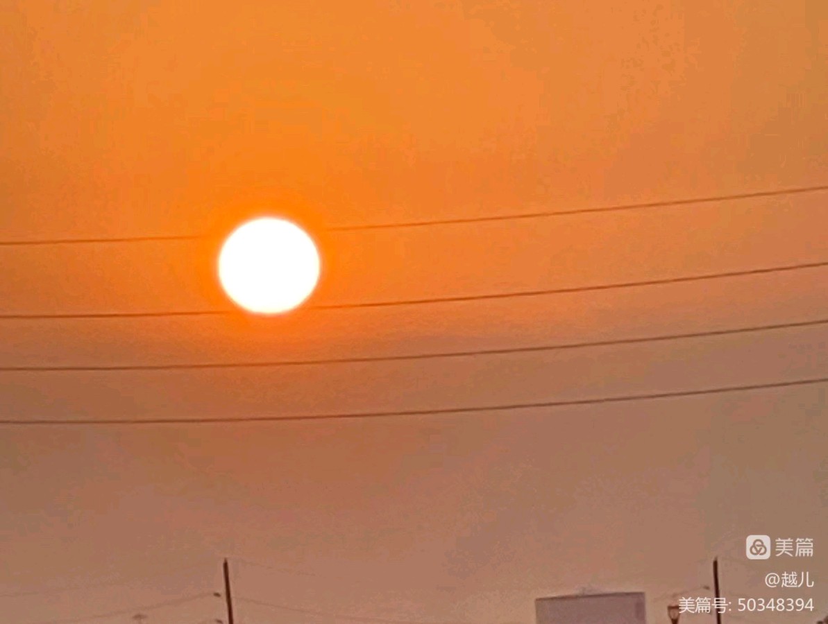 【上海头条】诗生活‖越儿：夕阳，就这么孤独地掉落（图3）