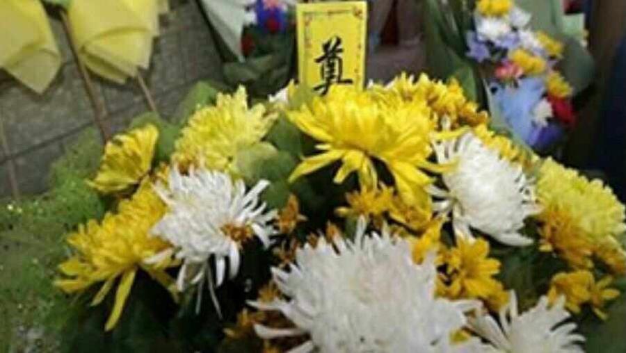 【新诗大观】寄托哀思诗四首||文/张道发（图2）