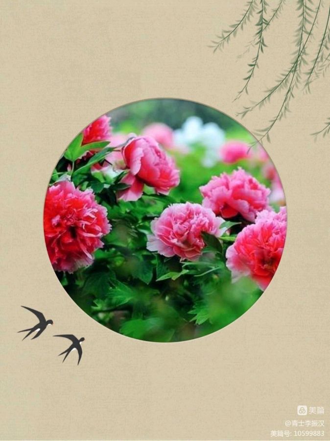 中华诗艺黑龙江分社●微刊(第77期)（图8）