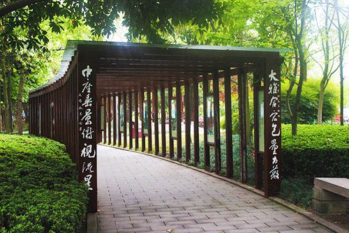 【新诗大观】穿越光阴搭建的长廊||文/金义(河北)