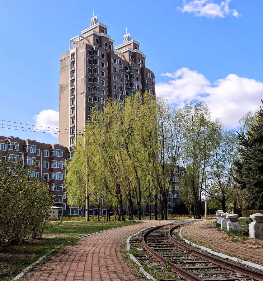 中华诗艺黑龙江分社推介【摄影】刘德财:初夏小景（图25）