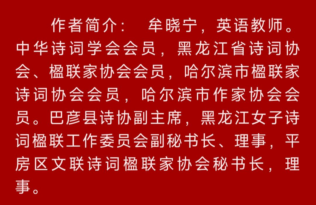 中华诗艺黑龙江分社●微刊(第79期)（图10）