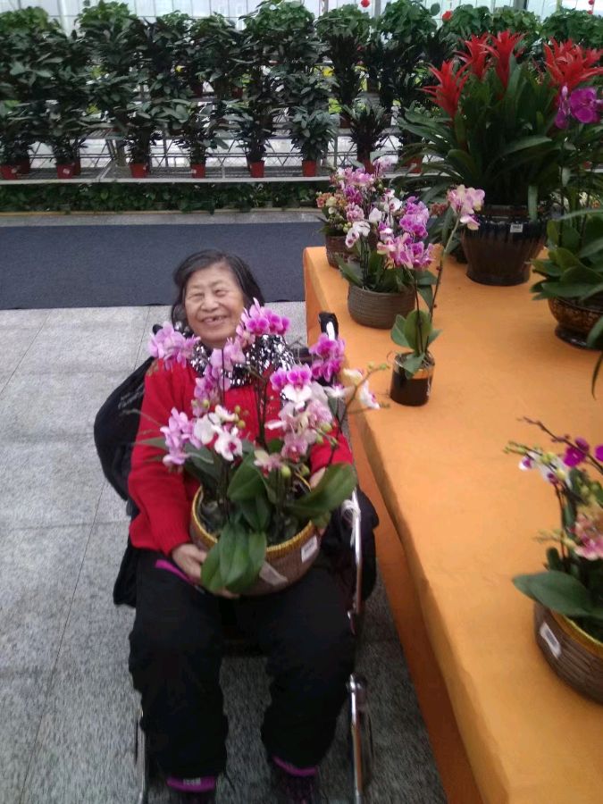 (之一)感动着孙浩的“隔代爱”（图16）