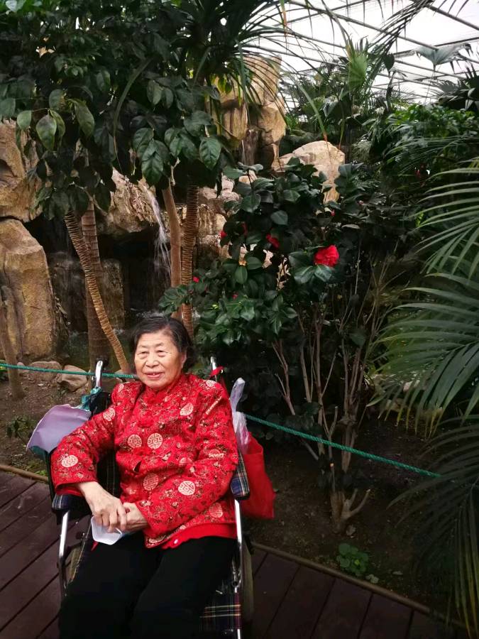(之一)感动着孙浩的“隔代爱”（图40）