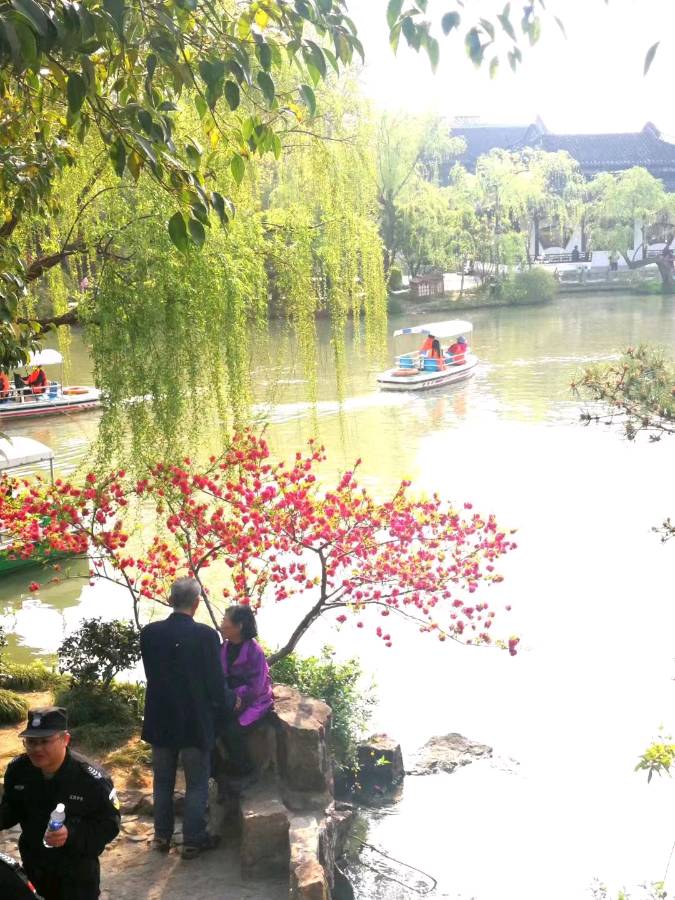 (之二)感动着孙浩的“隔代爱”（图28）