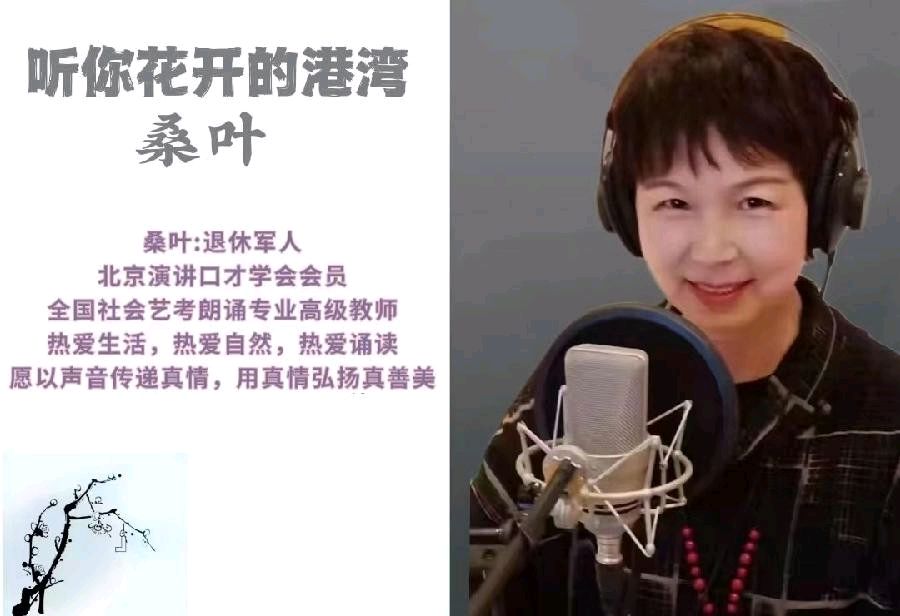 听你花开的港湾 ‖【组诗*母亲】作者/刘伙力 朗诵/听你花开的港湾主播 音频合成策划/六月荷（图6）